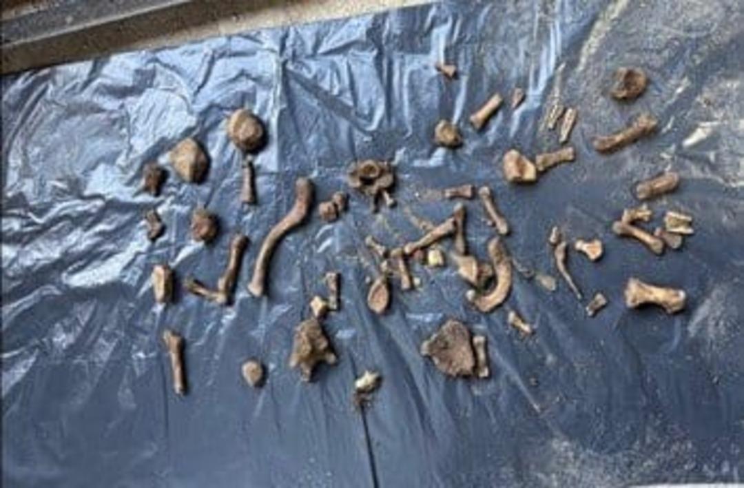 4 yıllık gizem &ccedil;&ouml;z&uuml;ld&uuml;! Katilin bah&ccedil;esinde Emrah Elveren in kemikleri bulundu 2