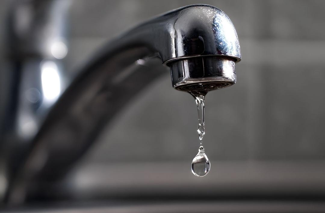 Mikro düzeyde çevrecilik neden hala değerli? 2