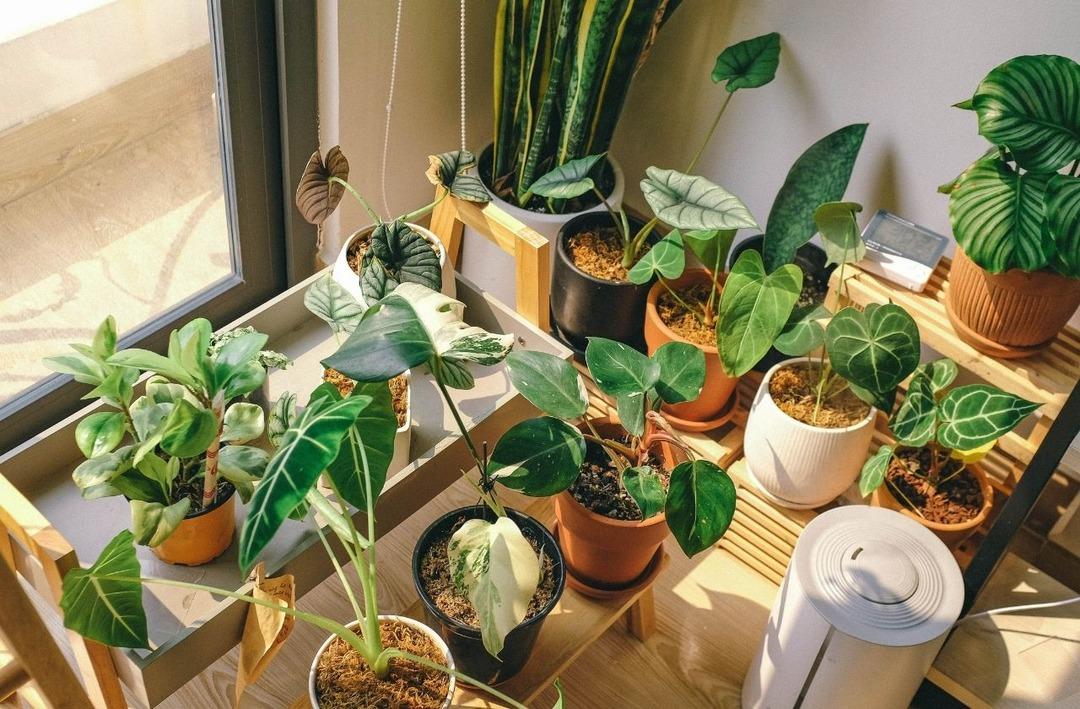 Mikro düzeyde çevrecilik neden hala değerli? 5