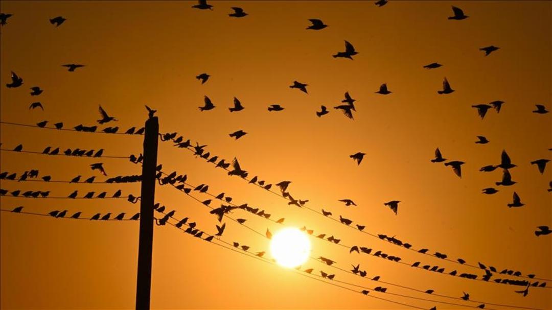 Elektrikte yeni dönem: Mesajlar gitmeye başladı! Kimler etkilenecek? 3