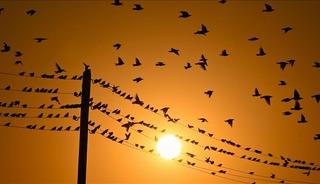 Spot piyasada elektrik fiyatları (24 Aralık 2025)