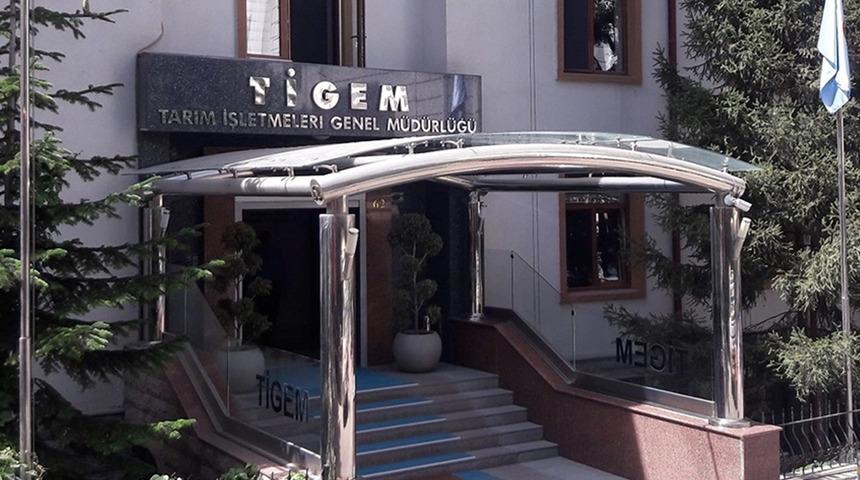 TİGEM, ihaleyle 74 bin 665 ton inek sütü satacak