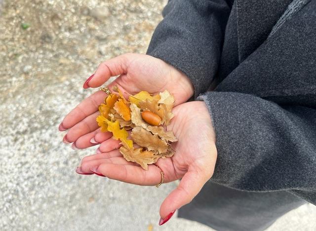 Ilgaz Dağları’nda kartpostallık sonbahar manzaraları 6