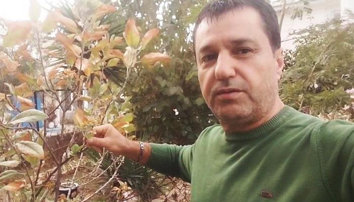 Görenler hayrete düştü: Kasımda hiç beklemiyordu