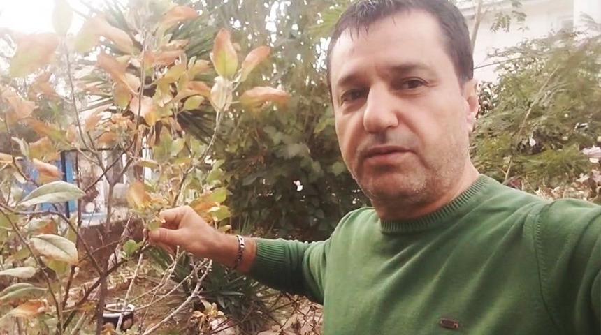 Görenler hayrete düştü: Kasımda hiç beklemiyordu