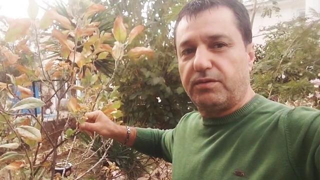 Görenler şaşırdı: Kasım ayında hiç beklemiyordu