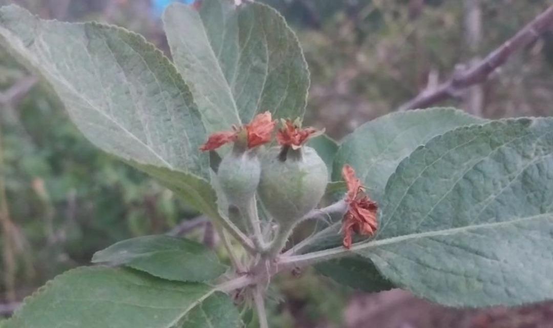 Görenler hayrete düştü: Kasımda hiç beklemiyordu 3