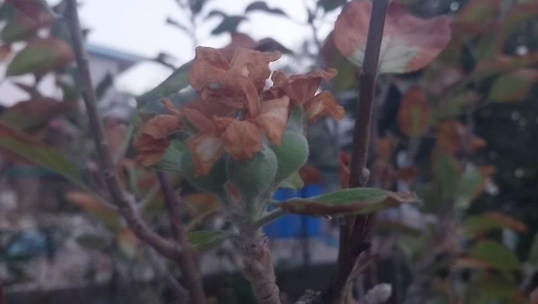 Görenler hayrete düştü: Kasımda hiç beklemiyordu 4