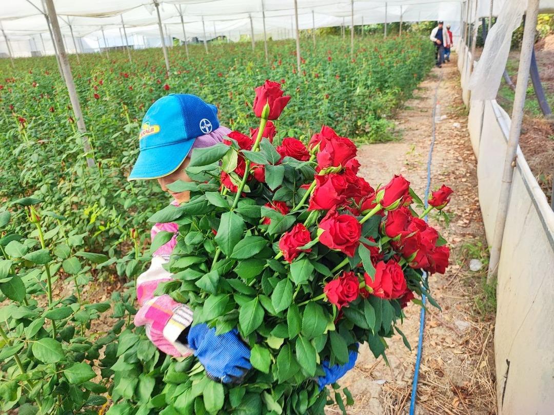 10 TL, 100 TL oluyor! Onlara göre kazanan belli 1