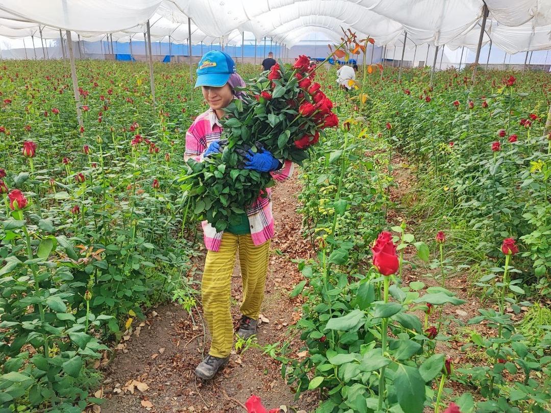 10 TL, 100 TL oluyor! Onlara göre kazanan belli 2