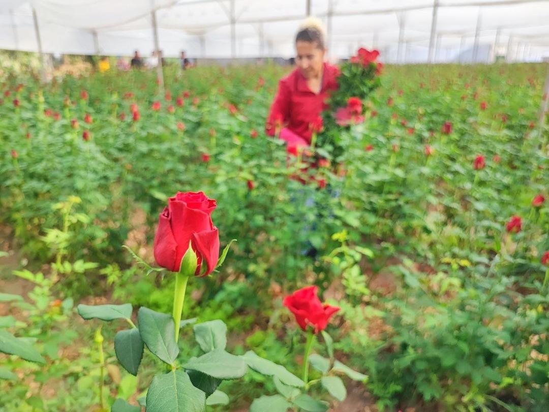 10 TL, 100 TL oluyor! Onlara göre kazanan belli 3