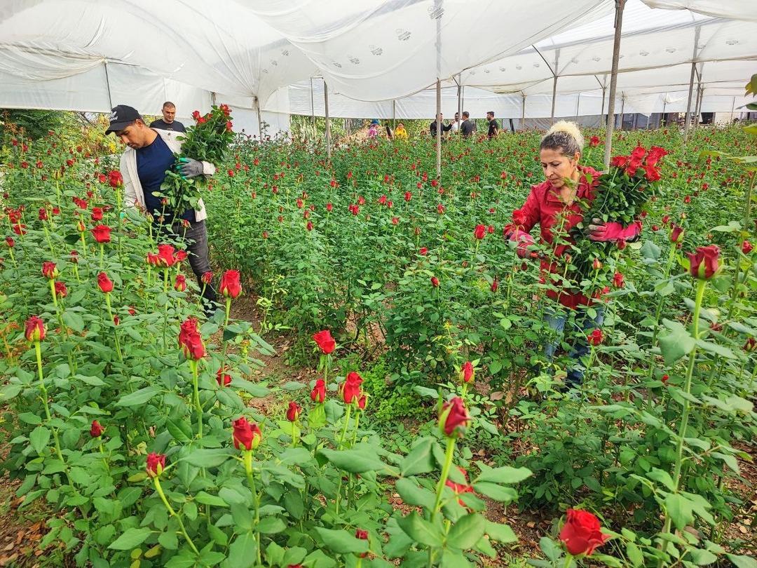 10 TL, 100 TL oluyor! Onlara göre kazanan belli 4