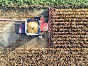 Tarım sekt&ouml;r&uuml;nden 2025'te t&uuml;m zamanların en y&uuml;ksek yıllık ihracatı