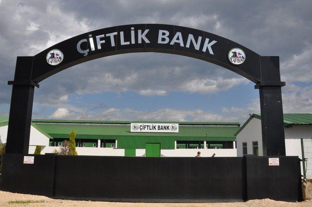 Çiftlik Bank tabelaları söküldü