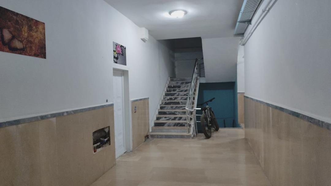 Apartmanda bütün ailenin cansız bedeni çıktı! "Bu bir katliamdır" 5