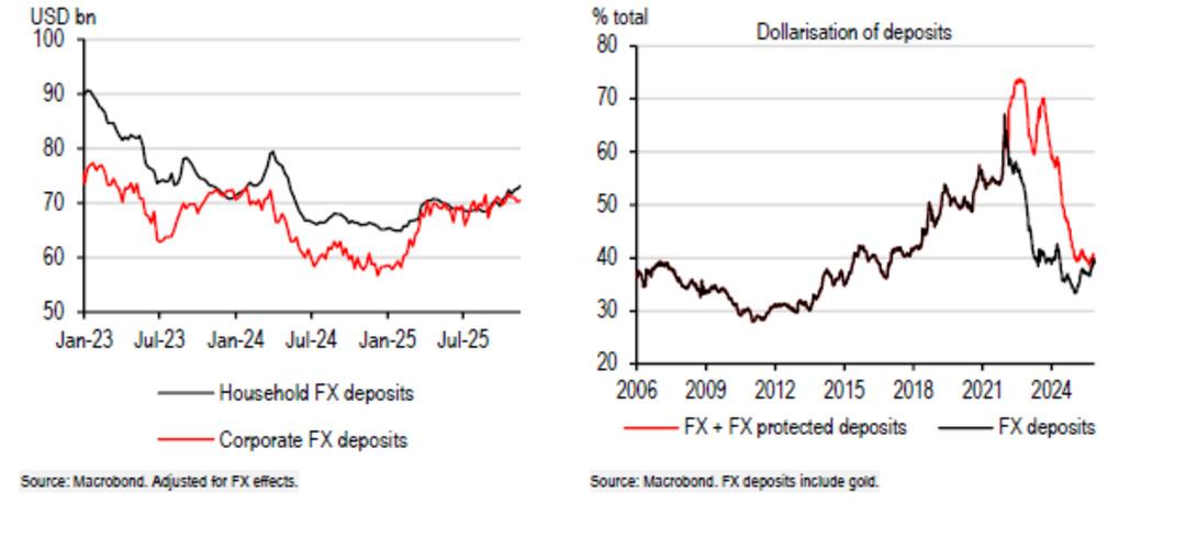 HSBC’den ilk 2026 Türkiye raporu: "Büyük bir kur şoku olmazsa TL nin yılı devam edecek" 3