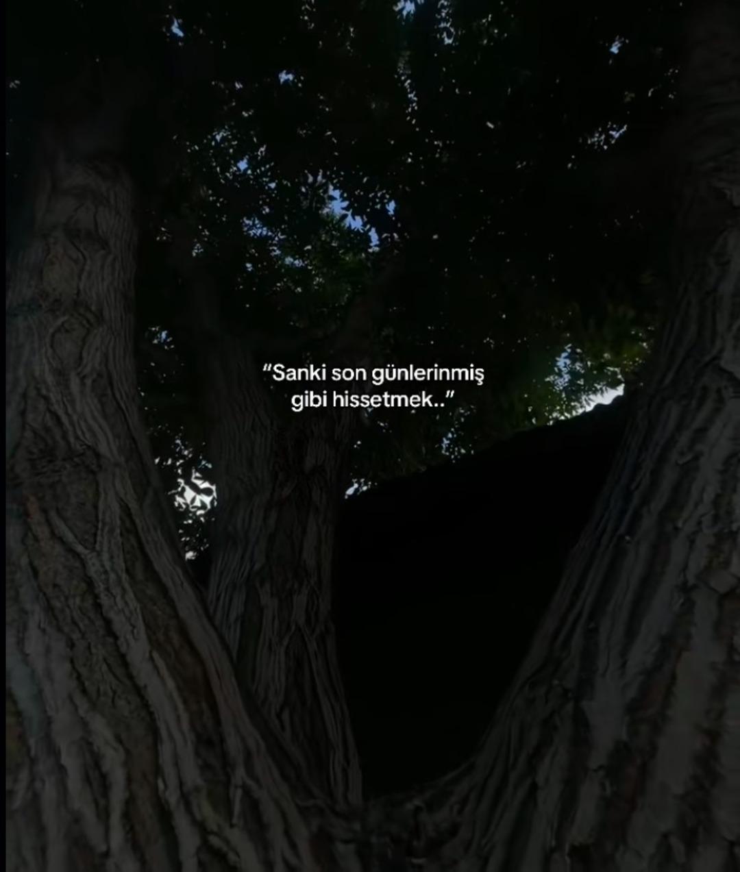 Yurtta 4 &uuml;nc&uuml; kattan d&uuml;şerek &ouml;lm&uuml;şt&uuml;: Mizgin in sosyal medya paylaşımları ortaya &ccedil;ıktı! 3