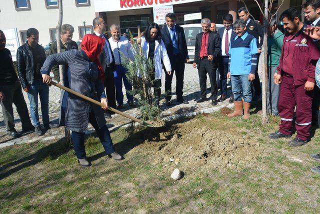 Korkuteli’de 14 Mart Tıp Bayramı’nda fidan  dağıtıldı