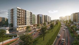 Daire seçimleri 26 Kasım'da başlıyor!