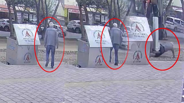 Ekmek almaya çıkan adamın sonu kahretti! Feci anlar kamerada; eşi balkondan öğrendi