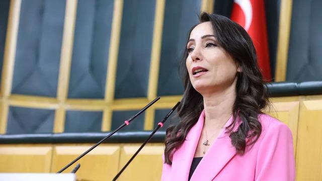 İmralı'da ne konuşuldu? DEM Parti'den ilk açıklama: Herkese açık olmasını istiyoruz