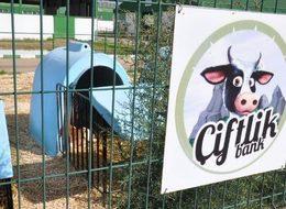 Çiftlik Bank soruşturmasında 2 tutuklama