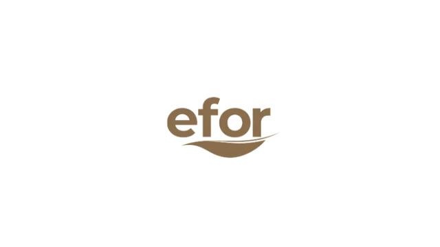 Efor Yatırım (EFOR) %500 Bedelsiz Sermaye Artırımına Gidiyor