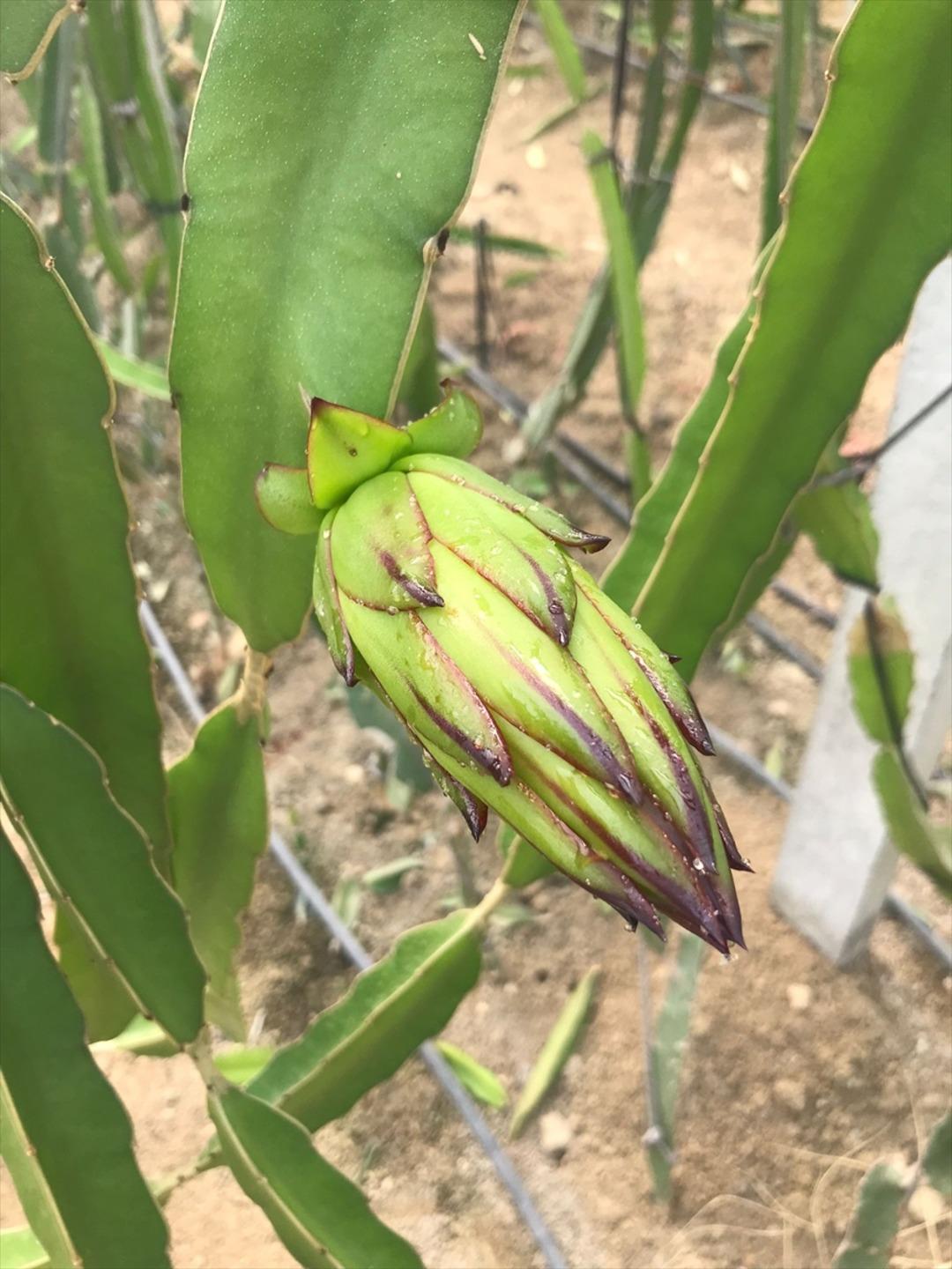  Hiç öyle düşünmemiştim  Mesleğe geri döndü bir taşla iki kuş vurdu 1