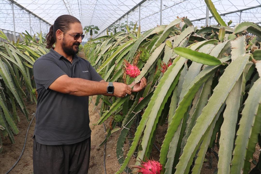  Hiç öyle düşünmemiştim  Mesleğe geri döndü bir taşla iki kuş vurdu 2