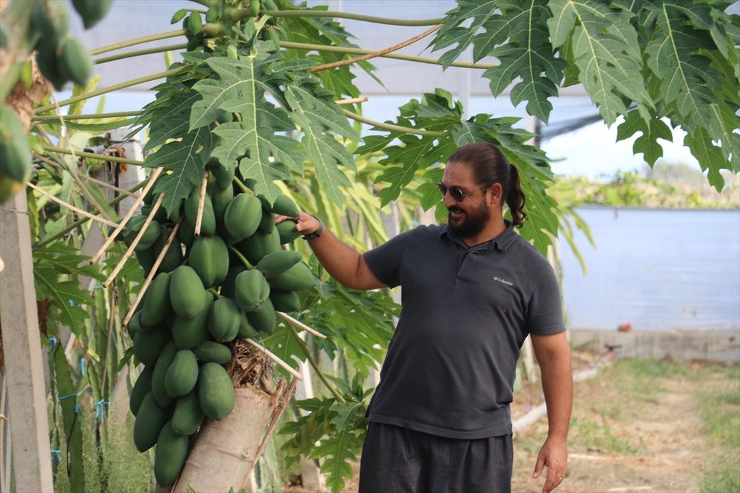 Hiç öyle düşünmemiştim  Mesleğe geri döndü bir taşla iki kuş vurdu 3