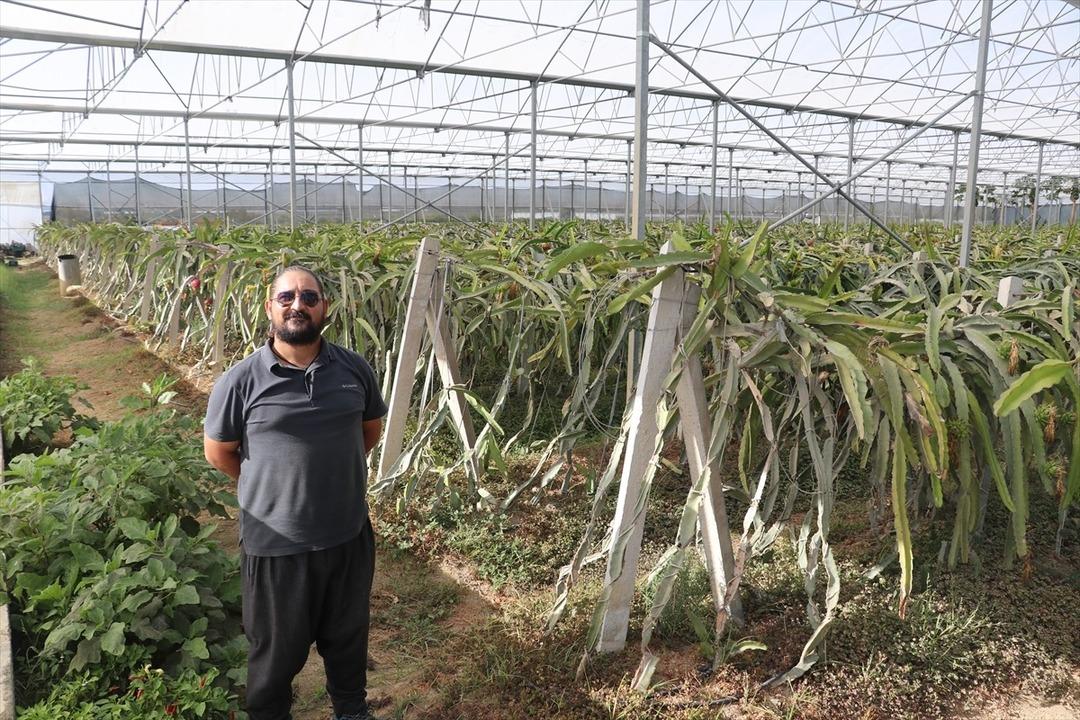  Hiç öyle düşünmemiştim  Mesleğe geri döndü bir taşla iki kuş vurdu 4