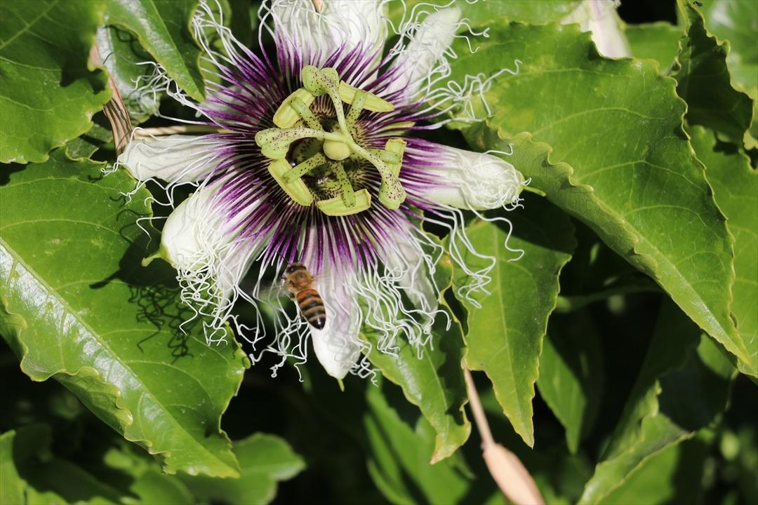  Hiç öyle düşünmemiştim  Mesleğe geri döndü bir taşla iki kuş vurdu 5