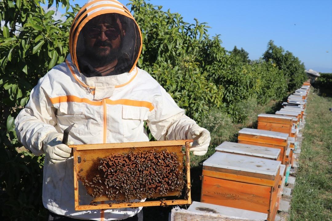  Hiç öyle düşünmemiştim  Mesleğe geri döndü bir taşla iki kuş vurdu 6