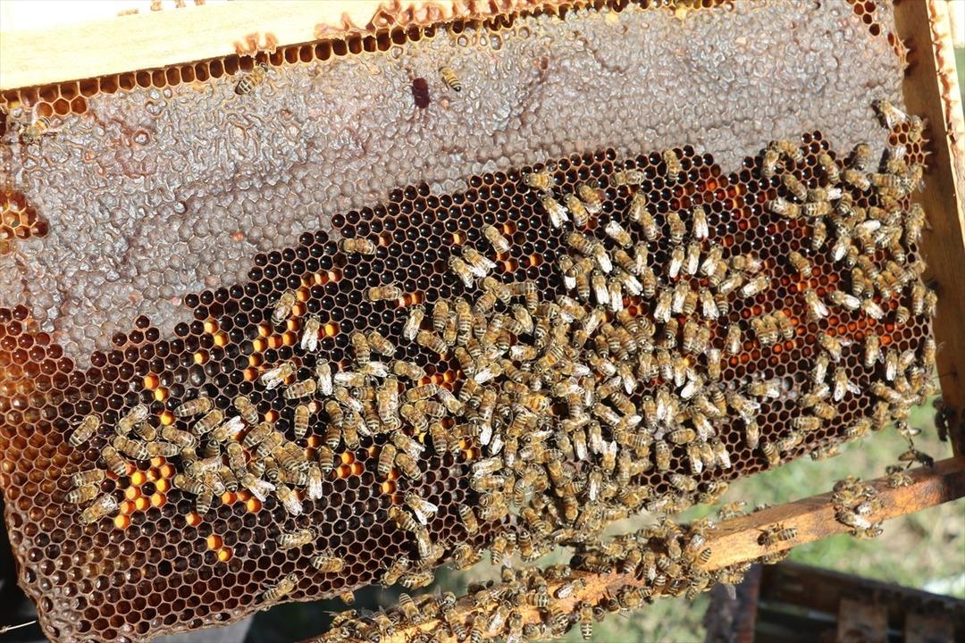  Hiç öyle düşünmemiştim  Mesleğe geri döndü bir taşla iki kuş vurdu 7