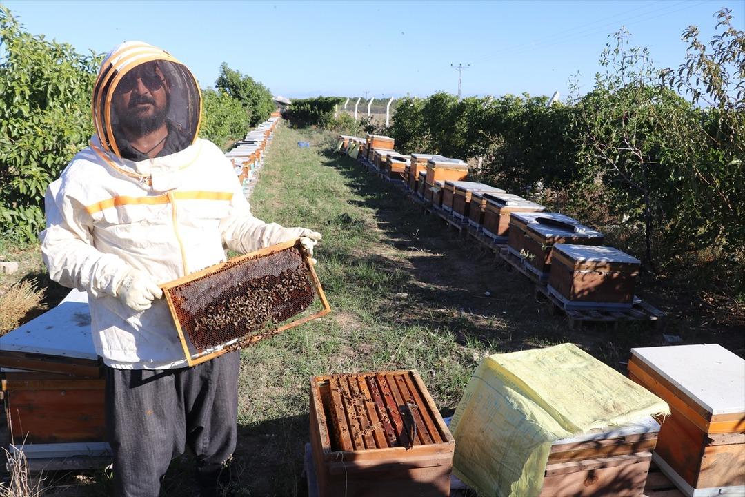  Hiç öyle düşünmemiştim  Mesleğe geri döndü bir taşla iki kuş vurdu 8