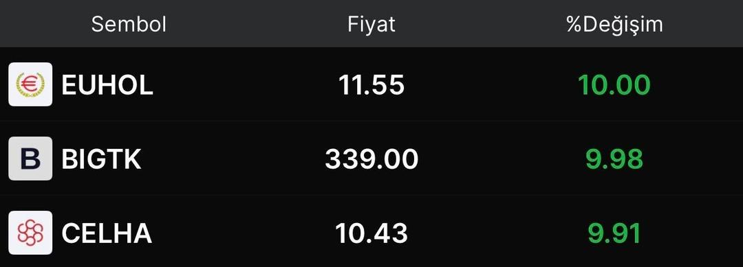 Bu hisseler bir günde yatırımcısına yüzde 10 kazandırdı! EUHOL, BIGTK, CELHA neden tavan oldu? 1