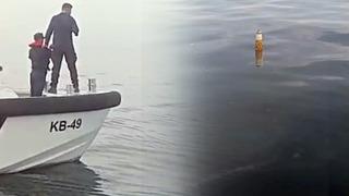 Artvin'de balıkçıların ağına takıldı! Rus menşeili olduğunu düşünülüyor