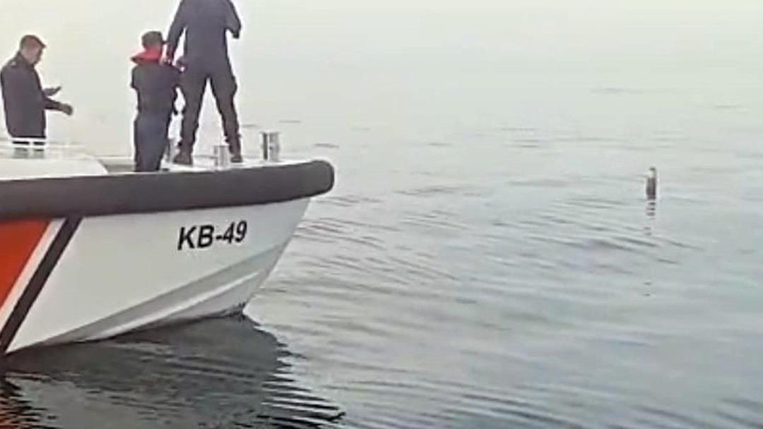 Artvin de balıkçıların ağına takıldı! Rus menşeili olduğunu düşünülüyor 1