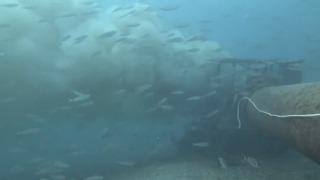 Çanakkale'de boğaza dökülen atık su ile karşılaşan dalgıç, o anları su altı kamerasıyla kaydetti