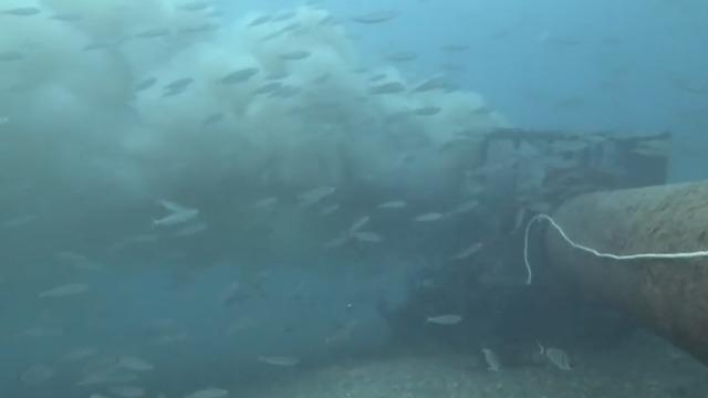 Çanakkale'de boğaza dökülen atık su ile karşılaşan dalgıç, o anları su altı kamerasıyla kaydetti