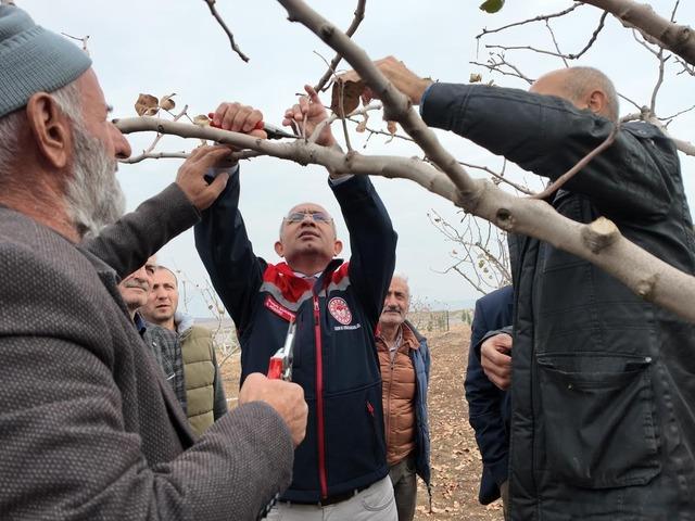 Siirt'te fıstık üreticilerine teorik ve pratik ‘budama' ile ‘gübreleme' eğitimi