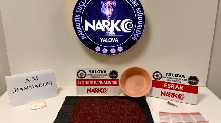 Yalova'da uyuşturucu operasyonları: 12 tutuklama