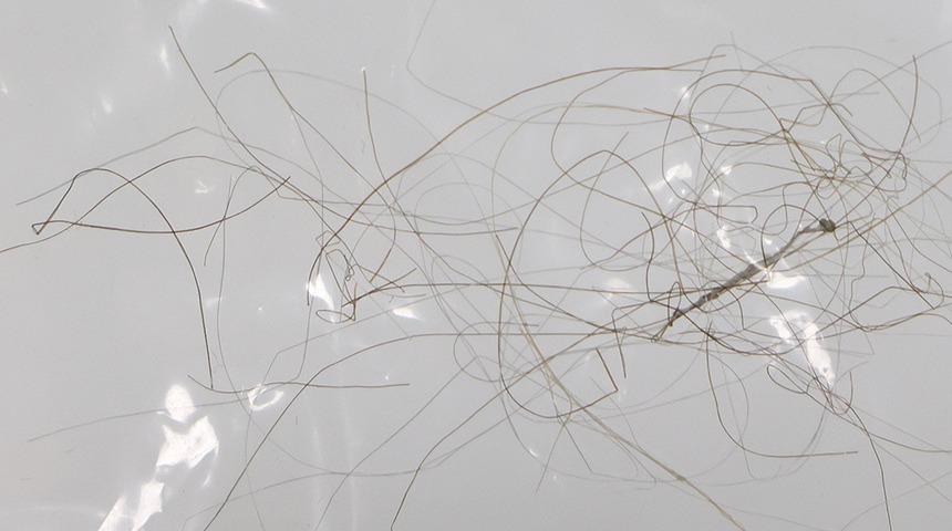 Kral Charles'ın sa&ccedil;ı satışa &ccedil;ıktı! Fiyatı ise dudak u&ccedil;uklatıyor