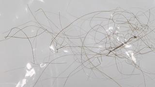 Kral Charles'ın saçı satışa çıktı! Fiyatı ise dudak uçuklatıyor