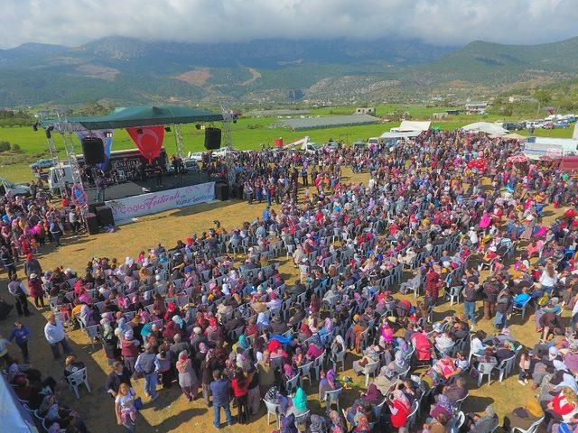 Silifke’de Çağla Festivali ve Kültür Şenlikleri