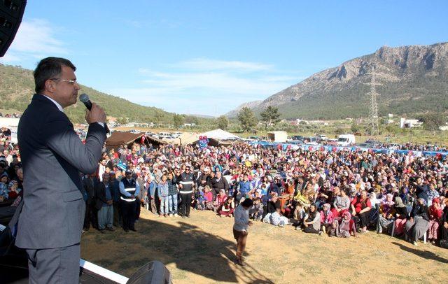 Silifke’de Çağla Festivali ve Kültür Şenlikleri