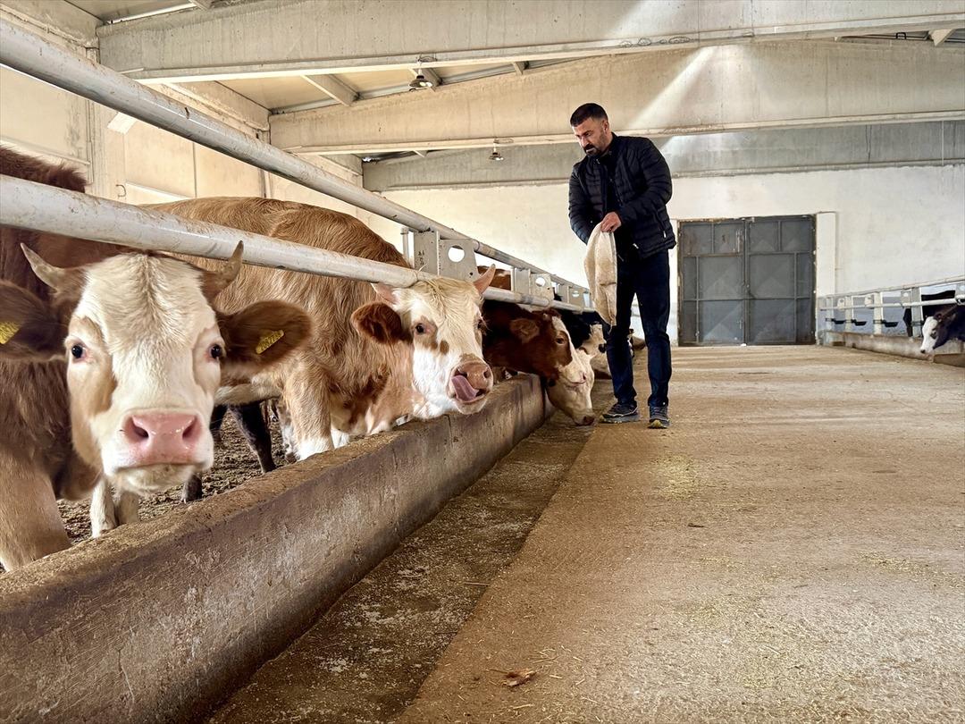 Hibe desteği aldı tesis kurdu! Hedef 250 ye ulaşmak 1