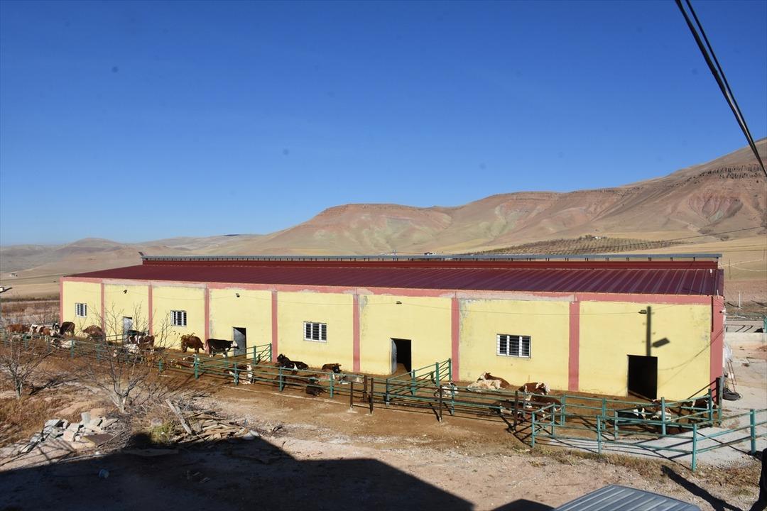 Hibe desteği aldı tesis kurdu! Hedef 250 ye ulaşmak 3