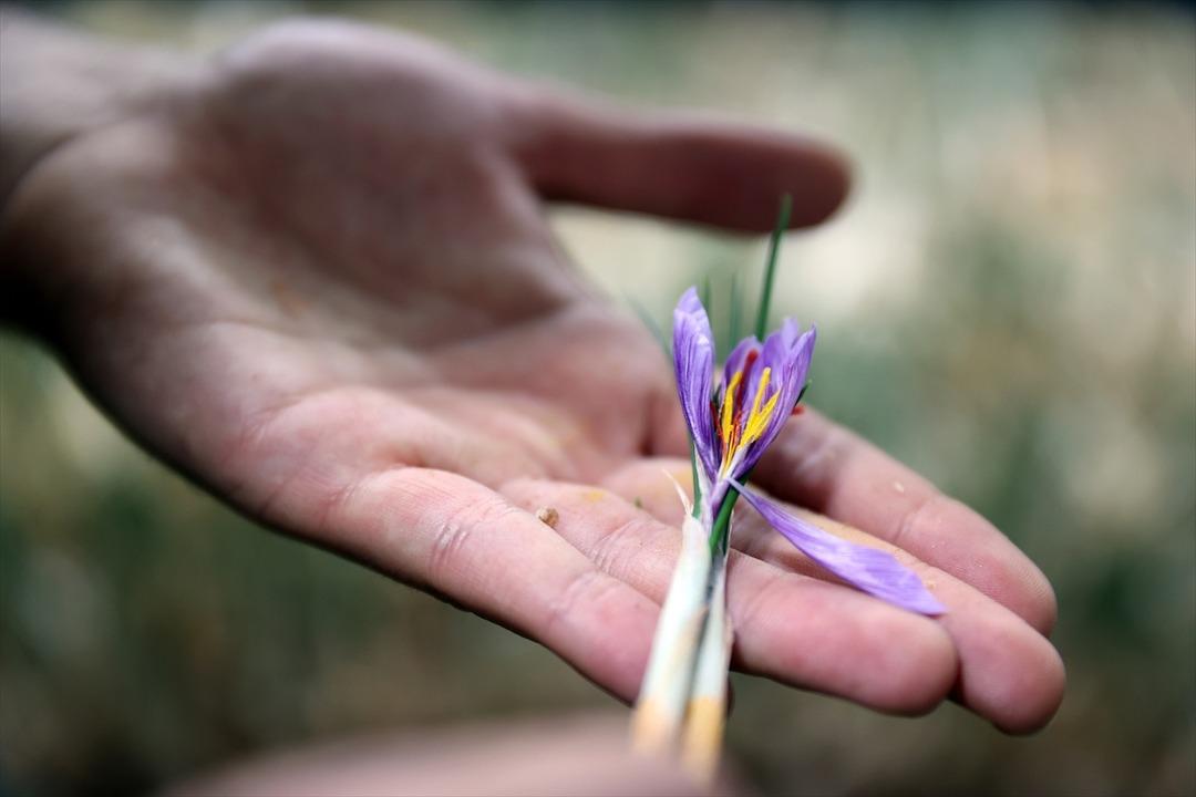 Maliyeti yüksek değil yıllık kazancı 1 milyon TL!  4