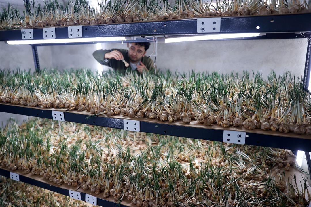 Maliyeti yüksek değil yıllık kazancı 1 milyon TL!  6